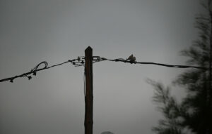 Σφοδρή κακοκαιρία πλήττει την Εύβοια με έντονες βροχές και χαλάζι