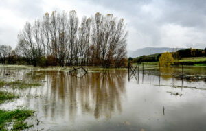 Αύξηση 18 εκατοστών στη στάθμη της λίμνης Καστοριάς λόγω κακοκαιρίας
