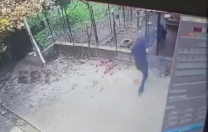 Δραματική επίθεση ροτβάιλερ σε 76χρονο στην Καλαμάτα