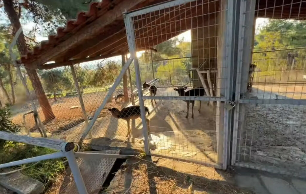 Αναστέλλεται προσωρινά η λειτουργία του Ζωολογικού Κήπου στη Θεσσαλονίκη