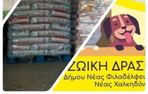 Δωρεάν διάθεση ζωοτροφών για φιλόζωους από τον Δήμο Νέας Φιλαδέλφειας