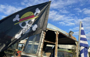 Αγρότης στη Λάρισα με σημαία του «One Piece» - Σύμβολο αντίστασης