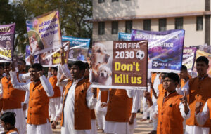 Σοβαρές καταγγελίες κατά του Μαρόκου για εξόντωση αδέσποτων σκύλων