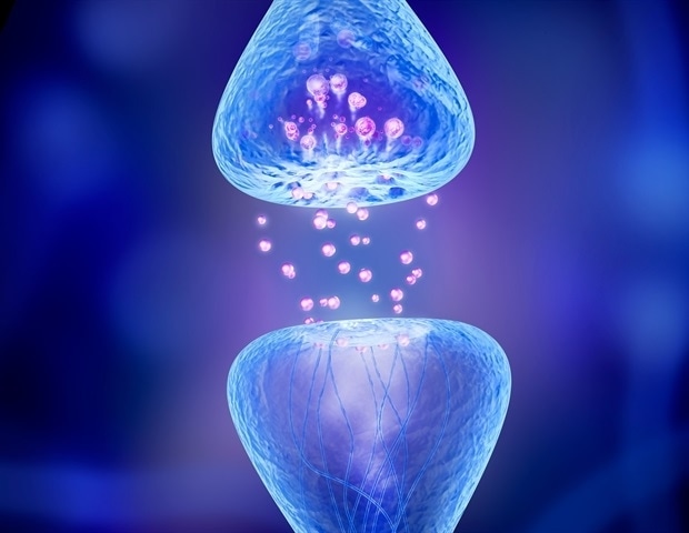 Νέα έρευνα αποκαλύπτει ταχύτατη προσαρμογή των συνάψεων στην επικοινωνία των νευρώνων