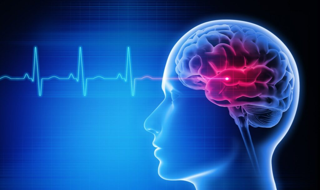 Νευρικές καταγραφές αποκαλύπτουν γιατί οι λιγούρες επανέρχονται παρά την τυρζεπατίδη