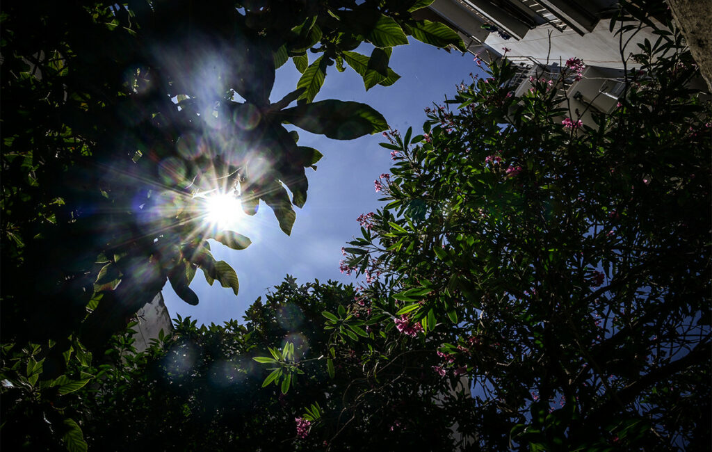 Καλοσύνη Δεκεμβρίου: Ήλιος και θερμοκρασίες έως 21 βαθμούς Κελσίου