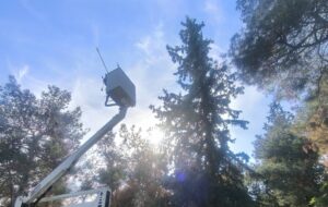 Διάσωση δύο γατών στο Άλσος Νέας Φιλαδέλφειας