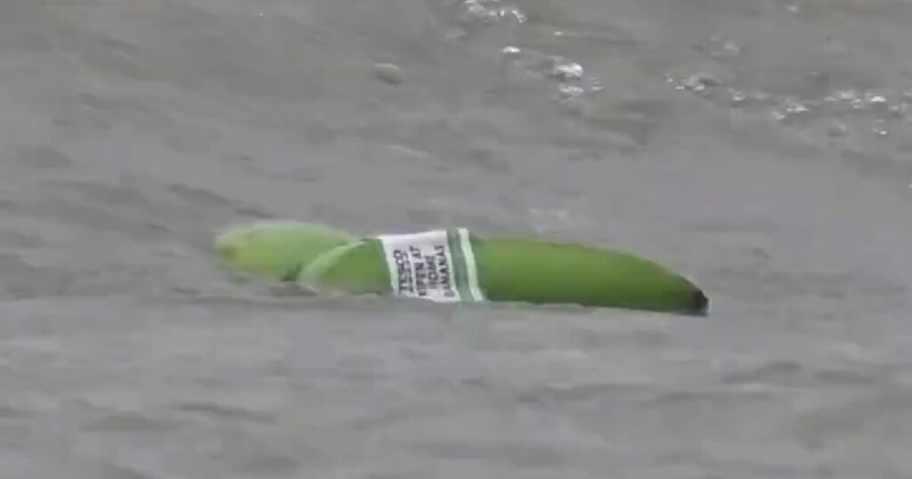 Μπανάνες πλημμυρίζουν τις ακτές της Αγγλίας μετά την ανατροπή πλοίου