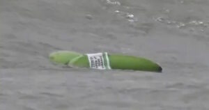 Μπανάνες πλημμυρίζουν τις ακτές της Αγγλίας μετά την ανατροπή πλοίου