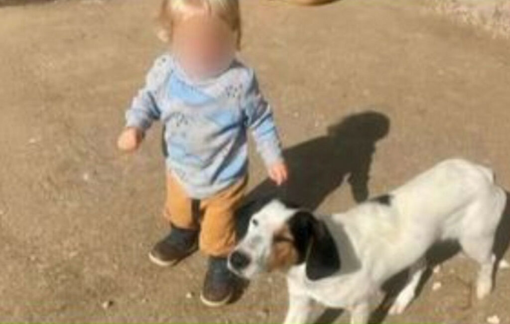 Συγκλονιστική μαρτυρία του πατέρα για τον θάνατο του 2χρονου στη Ζάκυνθο