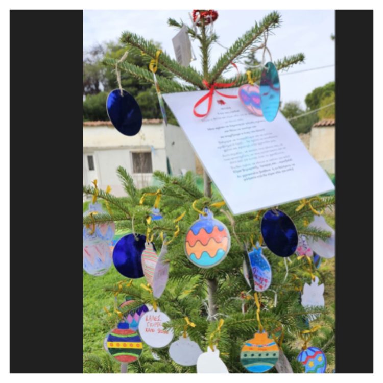 Στολισμός ελάτων στο Κτήμα Φιξ: Ένα έθιμο που ζωντανεύει