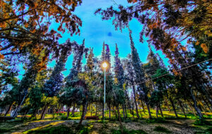 Αίθριος καιρός σήμερα με πιθανές βροχές σε κάποιες περιοχές