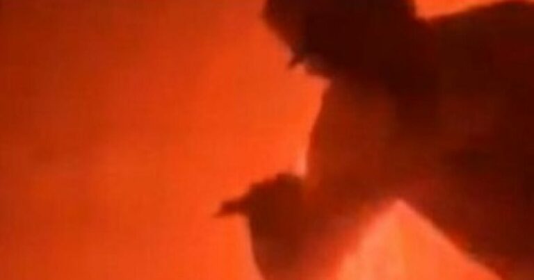 Απίστευτες σκηνές από το ηφαίστειο Κιλαουέα στη Χαβάη: Νεαροί δίπλα στη λάβα