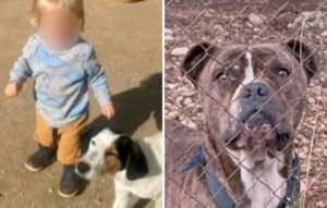 «Της είπαμε να μη πάρει ποτέ αυτό το σκυλί», δηλώνει ο θείος του Λίο