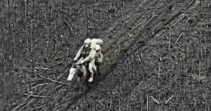 Ουκρανία: Ρώσοι στρατιώτες εντοπίστηκαν να ιππεύουν άλογα κοντά στην πρώτη γραμμή