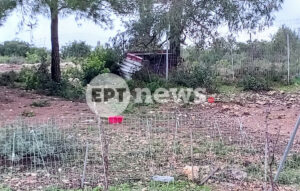 Θρήνος στη Ζάκυνθο για τον 2χρονο που δαγκώθηκε από πίτμπουλ