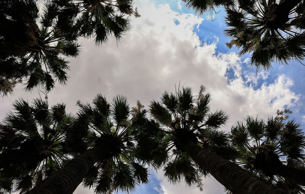 Ο καιρός σήμερα 17 Δεκεμβρίου 2025