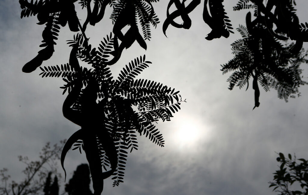 Ο καιρός σήμερα 8 Δεκεμβρίου 2025: Βροχές και καταιγίδες