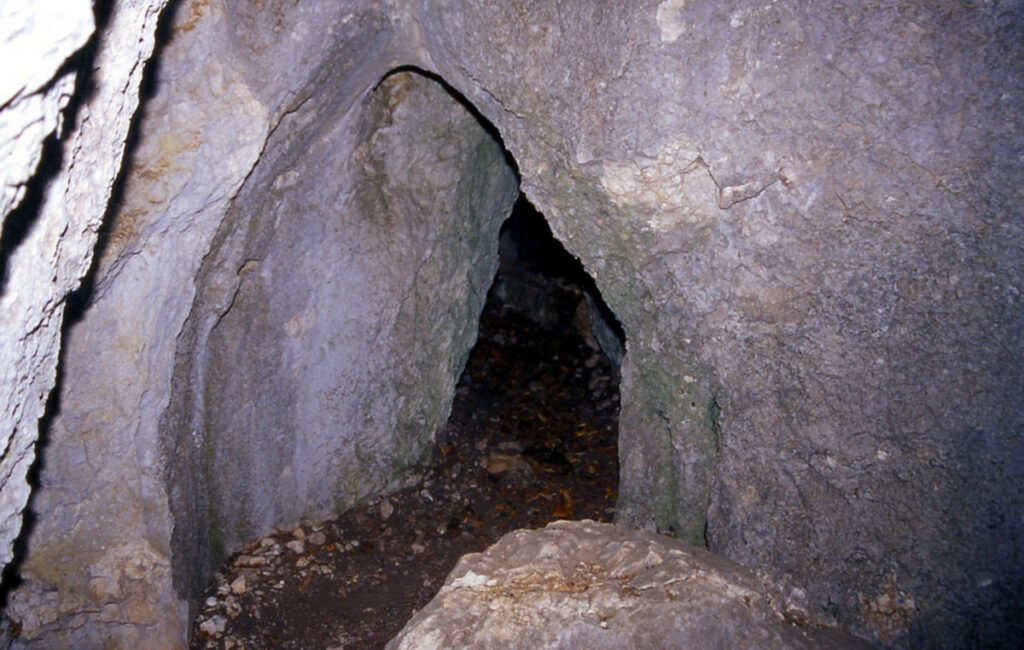 Αρκούδες σε χειμερία νάρκη στο Κέντρο Προστασίας Αρκούδας στο Νυμφαίο