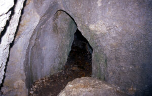 Αρκούδες σε χειμερία νάρκη στο Κέντρο Προστασίας Αρκούδας στο Νυμφαίο