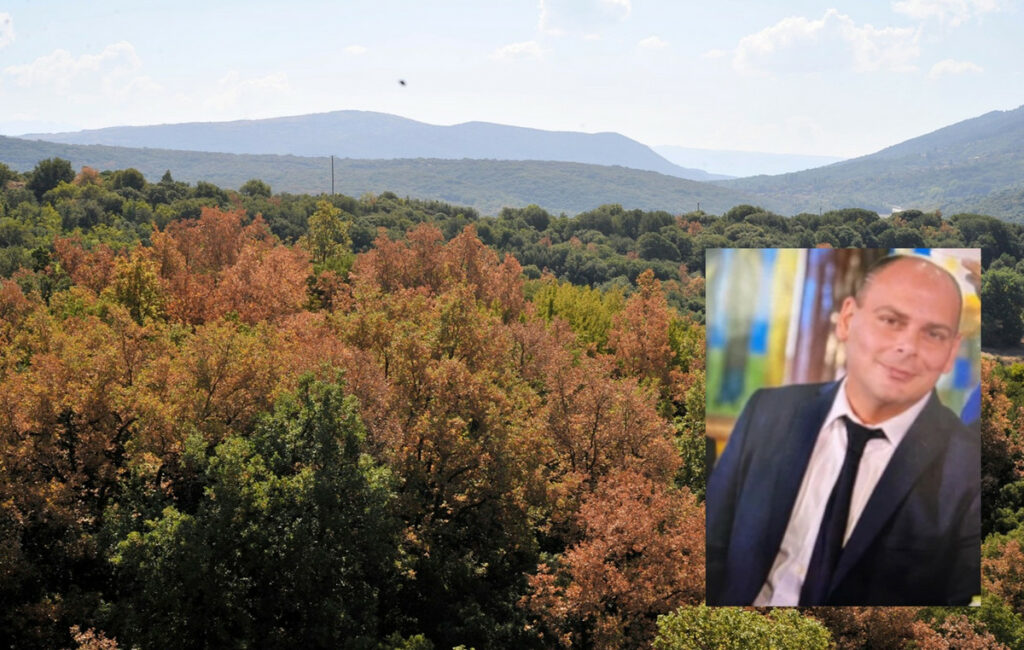 Τραγωδία στο όρος Μπέλλες: Νεκρός πυροσβέστης εντοπίστηκε ημίγυμνος