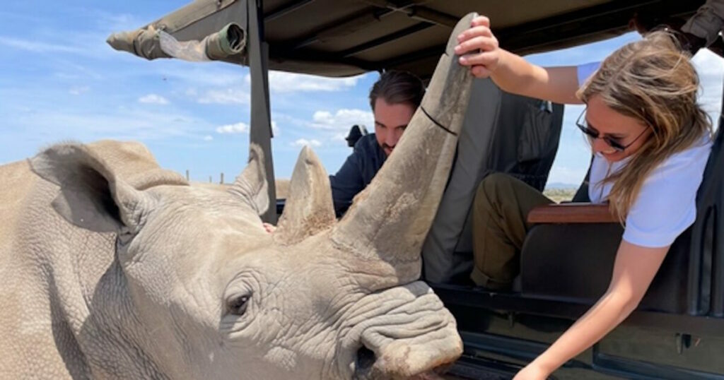 Φίλιππος Ντε Γκρες και Νίνα Φλορ σε νοσταλγικές εικόνες από την Αφρική