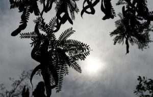 Ο καιρός σήμερα 5 Ιανουαρίου 2026