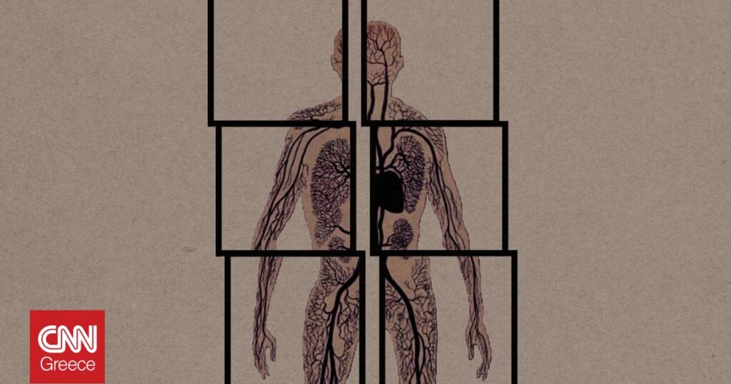 «Υποχόνδριος»: Η ασθένεια ως αφήγηση και το σώμα ως πεδίο υπαρξιακής δοκιμασίας