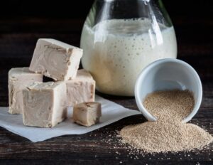 Γενετικό εργαλείο από ζύμη προσφέρει ελπίδα για μιτοχονδριακές διαταραχές και καρκίνο