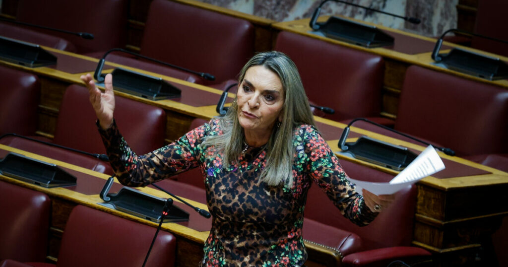 Νέα Αριστερά: Η Πέτη Πέρκα νέα εκπρόσωπος Τύπου, ο Δημήτρης Τζανακόπουλος γραμματέας