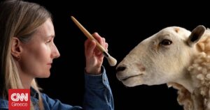 Η Morag, η πρόγονος της Ντόλι, εκτίθεται σε μουσείο της Σκωτίας