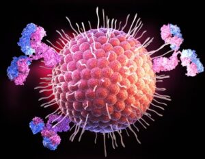 Spear Bio παρουσιάζει νέες υπερευαίσθητες εξετάσεις για νευροεκφυλιστικές ασθένειες