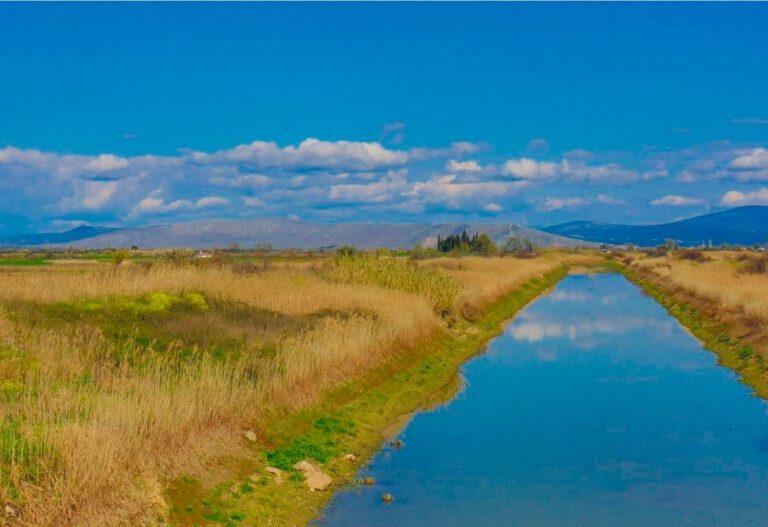 Βοιωτία: Ανησυχία για την επάρκεια νερού στην Κωπαΐδα