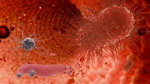 Πώς οι μικροβιώτες του εντέρου επηρεάζουν την ανταπόκριση στα φάρμακα GLP-1