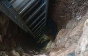 Σύρος: Διάσωση σκύλου από πηγάδι 15 μέτρων μετά από 10 ημέρες