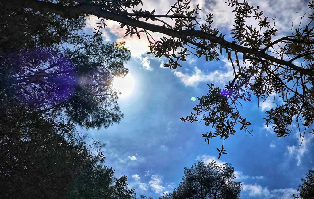 Ανοιξιάτικος καιρός με αραιές νεφώσεις και ήπιους ανέμους