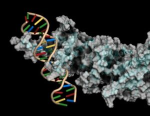 Νέα τεχνολογία στοχεύει σε δύσκολες μορφές καρκίνου