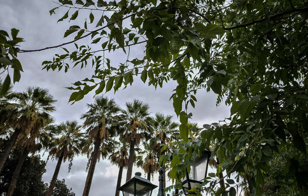 Ήπιος καιρός με τοπικές βροχές και βοριάδες στο Αιγαίο