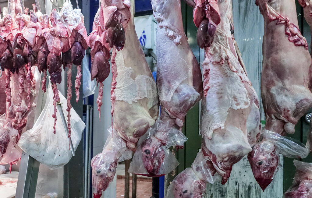 Παράνομες μεταφορές και ελλείψεις προσωπικού πίσω από την ευλογιά