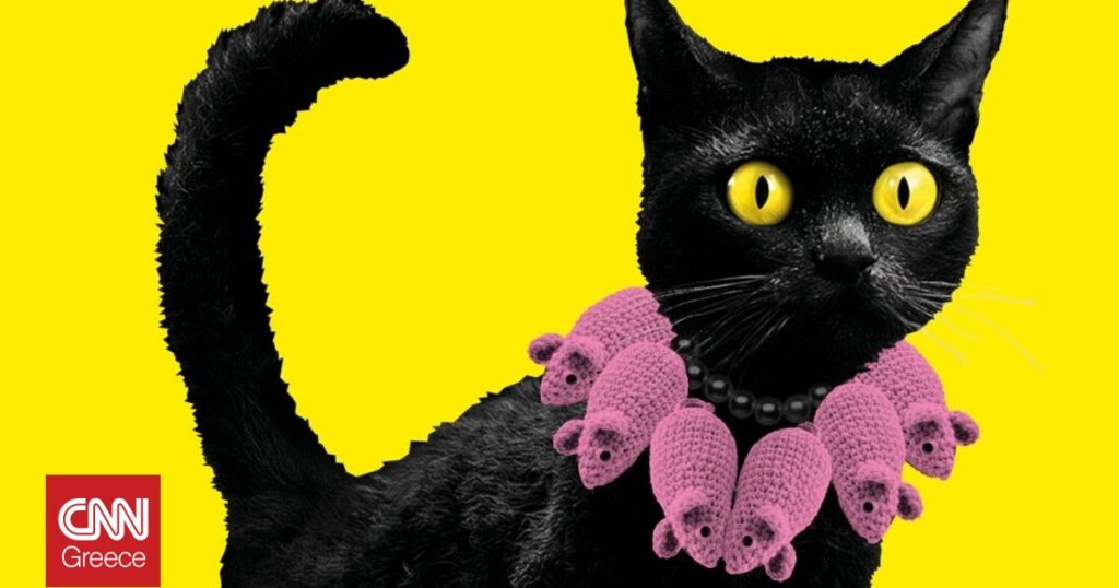 Η γάτα: Από την αρχαία Αίγυπτο στο σύγχρονο πολιτισμό