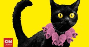 Η γάτα: Από την αρχαία Αίγυπτο στο σύγχρονο πολιτισμό