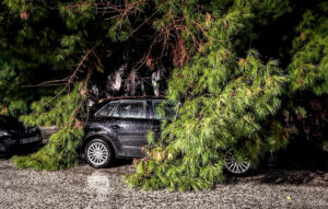 Διακοπή κυκλοφορίας στην οδό Πειραιώς λόγω πτώσης δέντρου