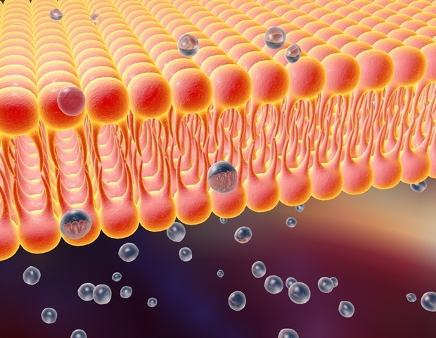 Ενημέρωση των κατευθυντήριων γραμμών για τη διαχείριση μηχανισμών καρδιοαναπνευστικής υποστήριξης