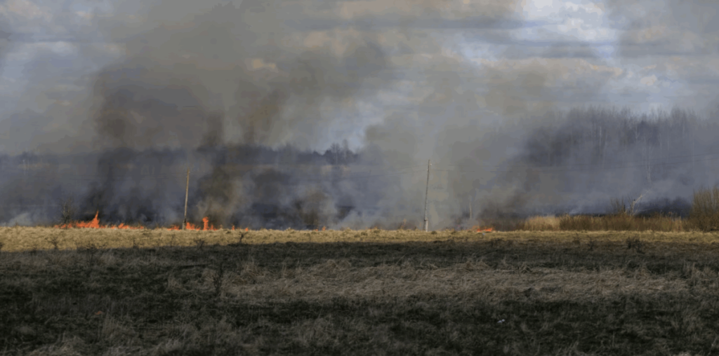 Πρόστιμο 937,50 ευρώ για καύση υπολειμμάτων στην Κέρκυρα