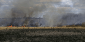 Πρόστιμο 937,50 ευρώ για καύση υπολειμμάτων στην Κέρκυρα