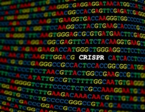 Νέο εργαλείο CRISPR κόβει επιλεκτικά το DNA των όγκων