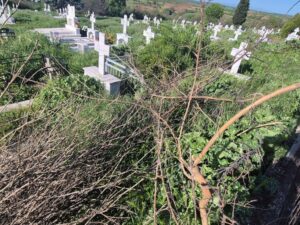 Καταγγελία για απαράδεκτες συνθήκες στα κοιμητήρια του Ασπρονερίου