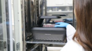 Η Σημασία της Αυτοματοποίησης σε Εργαστηριακές Διαδικασίες