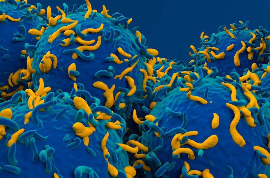 Επαναστατική ανασχεδίαση των CAR-T κυττάρων για περισσότερες εφαρμογές