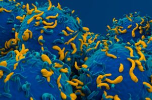 Επαναστατική ανασχεδίαση των CAR-T κυττάρων για περισσότερες εφαρμογές